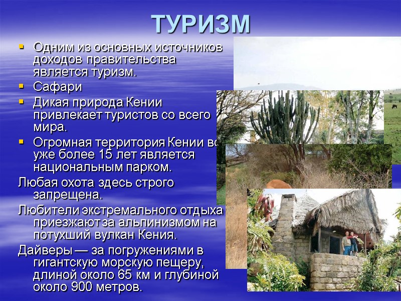 ТУРИЗМ Одним из основных источников доходов правительства является туризм. Сафари Дикая природа Кении привлекает